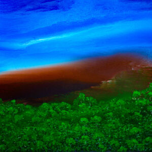 D'Anestis_Mata Atlantica